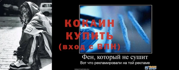 стаф Аркадак