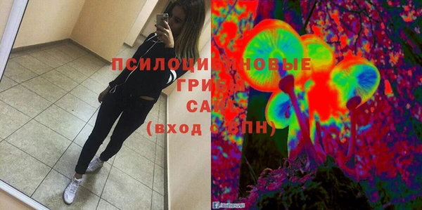 индика Балабаново