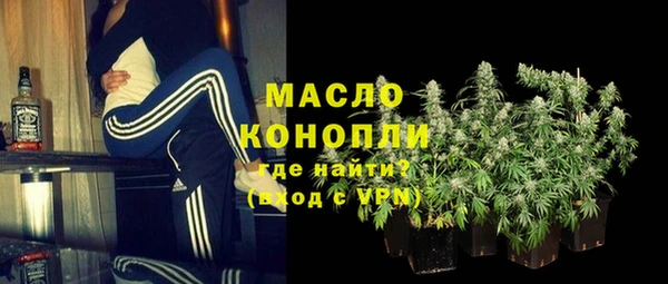 индика Балабаново