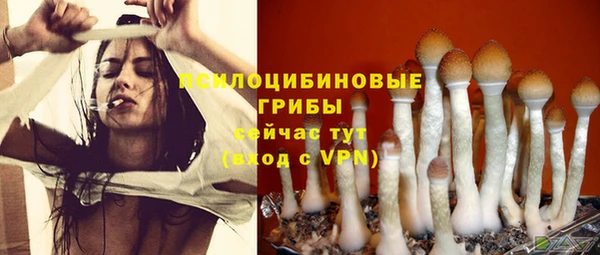 мяу мяу кристалл Балахна